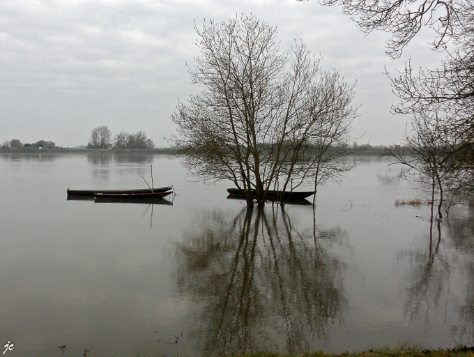 la Loire à Port de Vallée