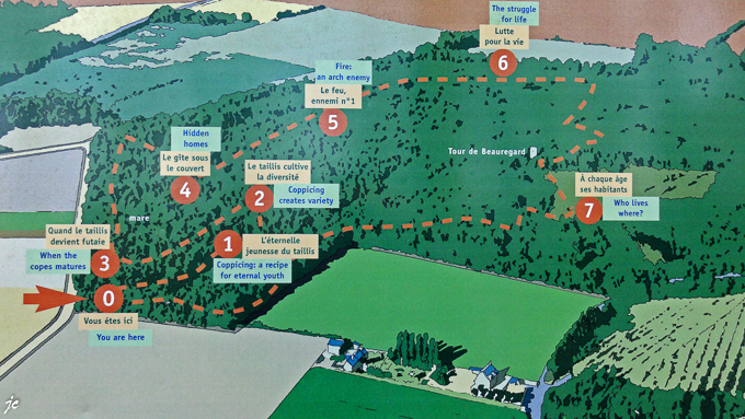 sur le sentier d'interprétation