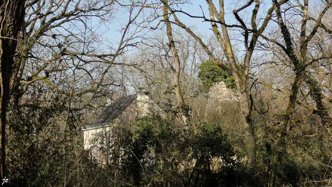 le moulin dans la forêt