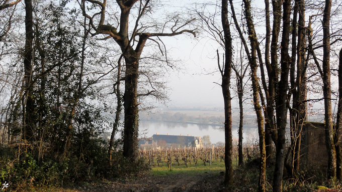 la Loire et le vignoble de l'abbaye de St Maur
