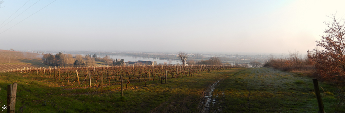la Loire et le vignoble de l'abbaye de St Maur
