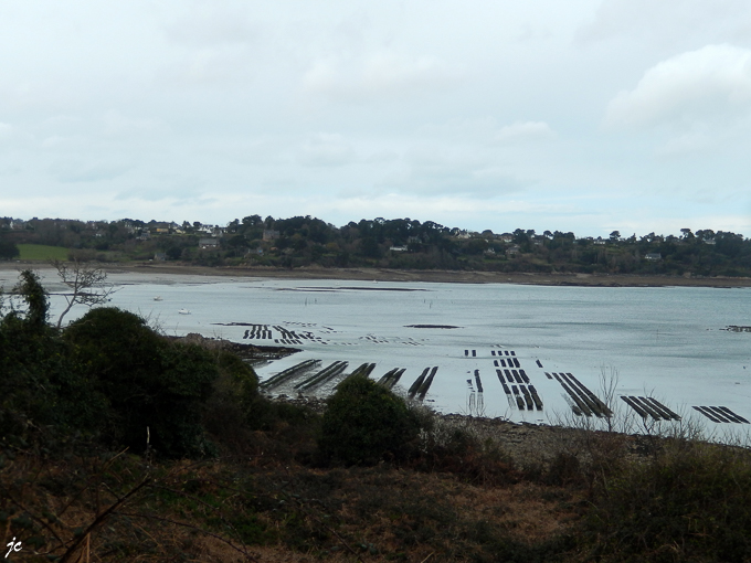 le parc à huîtres à la Pointe de la Trinité (la rando "sur l