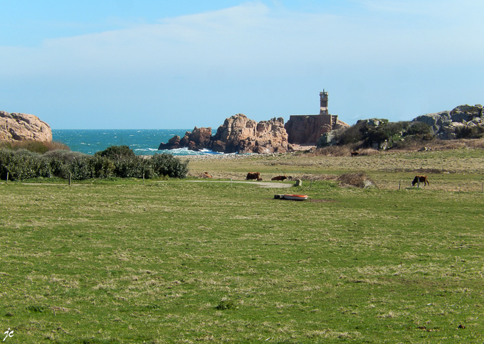 le pâturage sur fond de phare du Paon