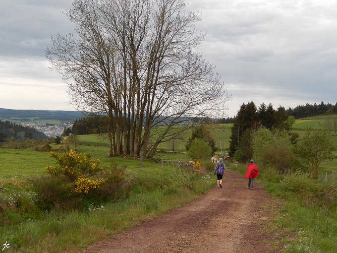 la descente vers Langogne