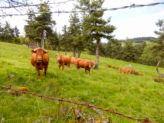 les copines de Ghislaine