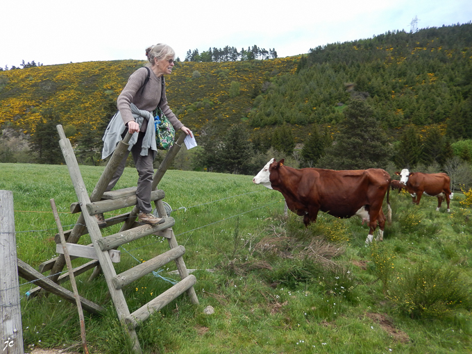 "bonjour ! mesdames les vaches" salue la sportive