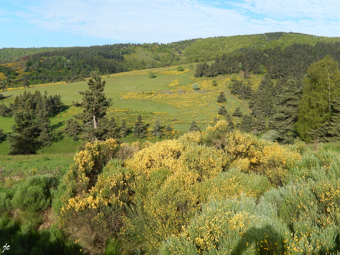 la montée au sommet de La Mourade