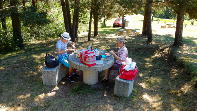 le pique-nique à l'ombre des pins