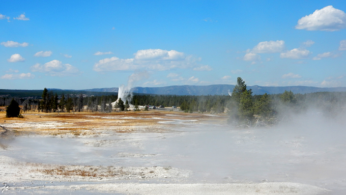 dans le Yellowstone national park, White Dome geyser
