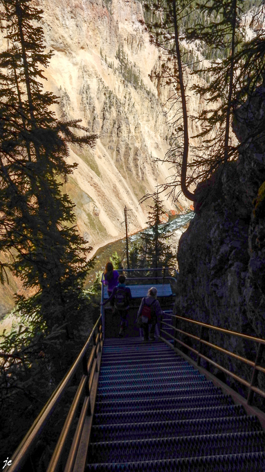 dans le Yellowstone national park, Uncle Tom's trail