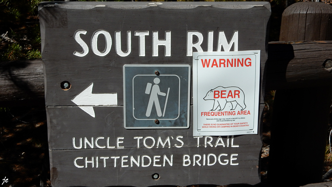 dans le Yellowstone national park, le South Rim trail
