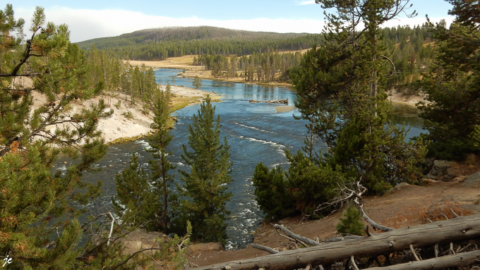 la Yellowstone river dans Hayden Valley