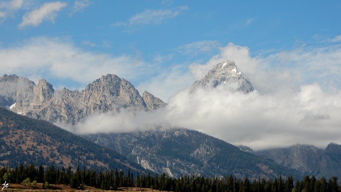 sur la Moose Wilson road, Grand Teton