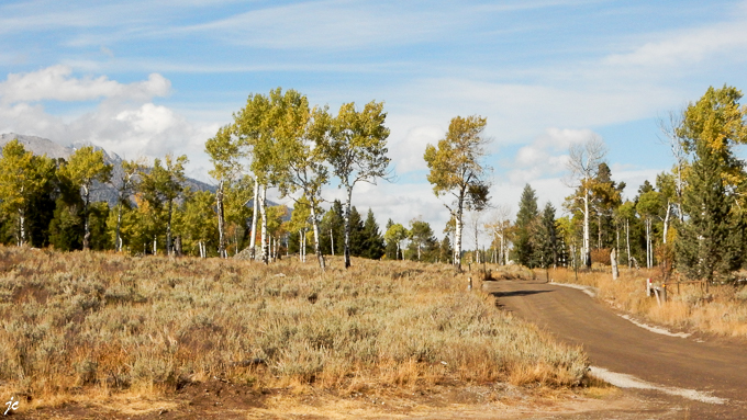 sur la Moose Wilson road