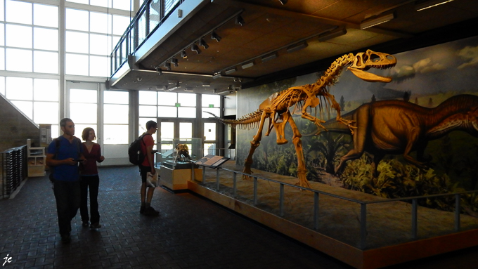 à Dinosaur National Monument, dans le Quarry Exhibit hall