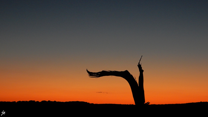 sur Arches Scenic drive dans Arches National park