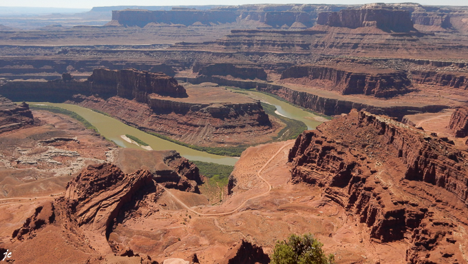 dans le Dead Horse Point State park, à Dead Horse Point Overlook