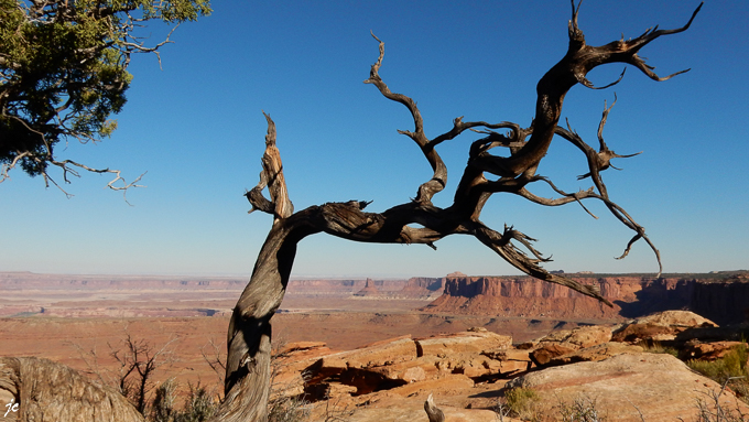 dans Canyonlands National park, sur le Grand View Point trail