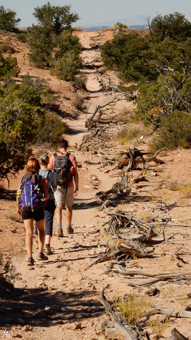 sur le Murphy Point Overlook Trail