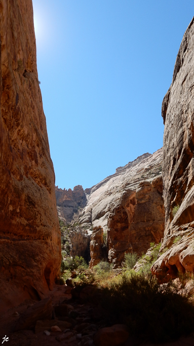 le Grand Wash dans le Capitol Reef National park