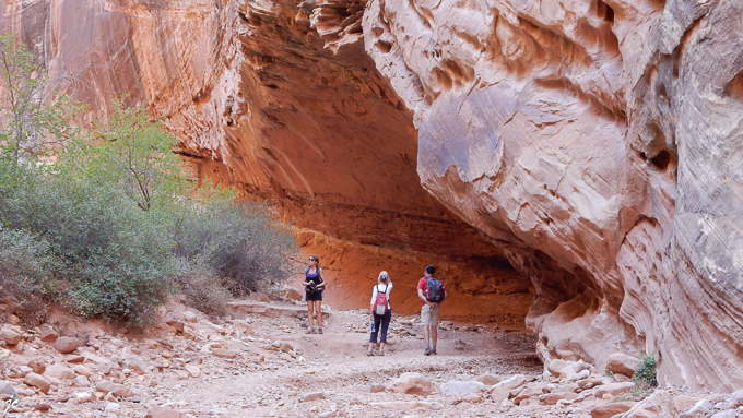 le Grand Wash dans le Capitol Reef National park