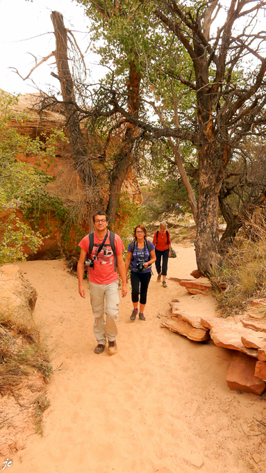 Hickman Bridge trail