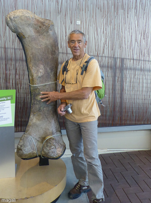 à Dinosaur National Monument, dans le Quarry Exhibit hall, JC et l'os de dinosaure
