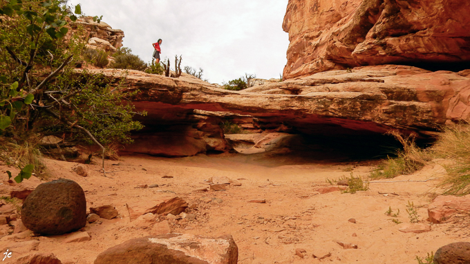 Hickman Bridge trail