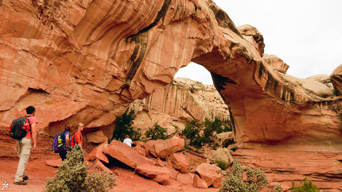 sur Hickman Bridge trail