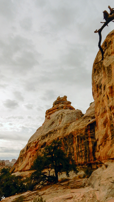 Hickman Bridge trail