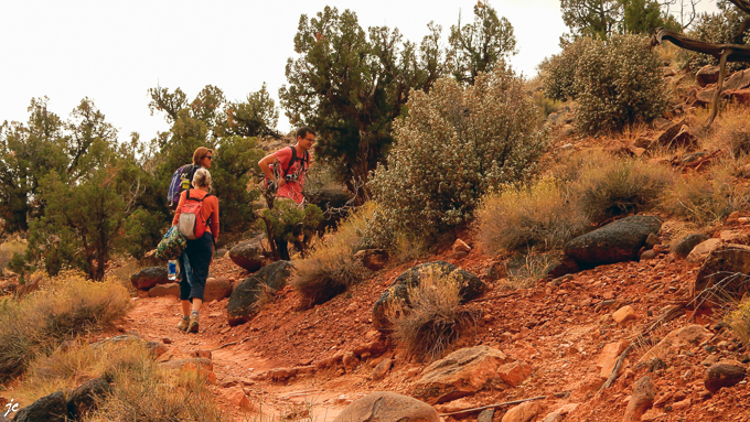 dans le Capitol Reef National park, Rim Overlook trail