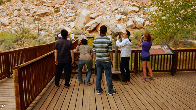 dans le Capitol Reef National park, les touristes devant la falaise aux pétroglyphes