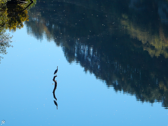 l'oiseau perché dans le Lot à Cahors