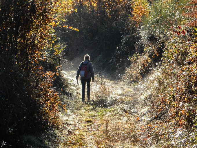 sur les bords de la Burlande