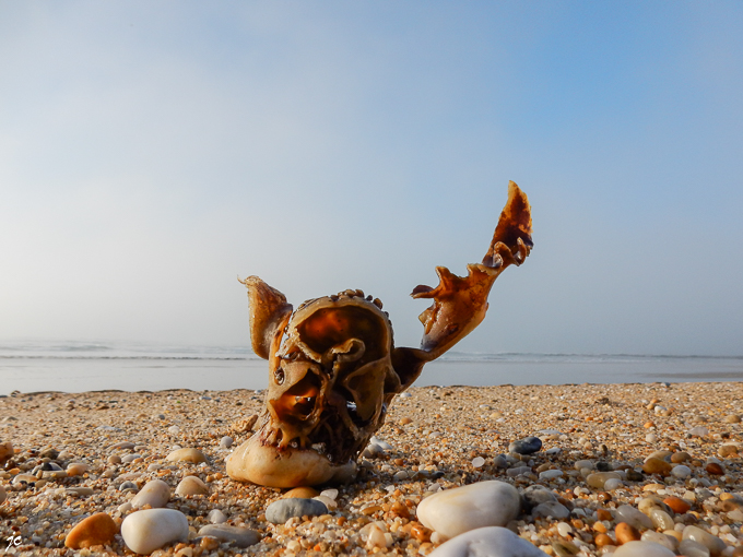 sur la plage de Magouëro