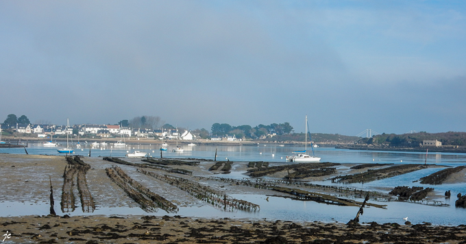 les parcs à huîtres