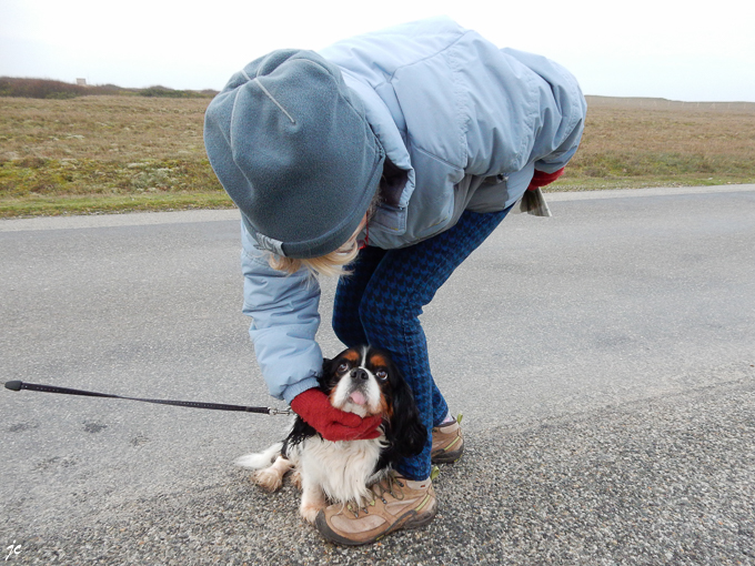 la rencontre avec Belle sans le clochard