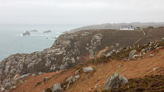 dans la réserve naturelle de Goulien - cap Sizun