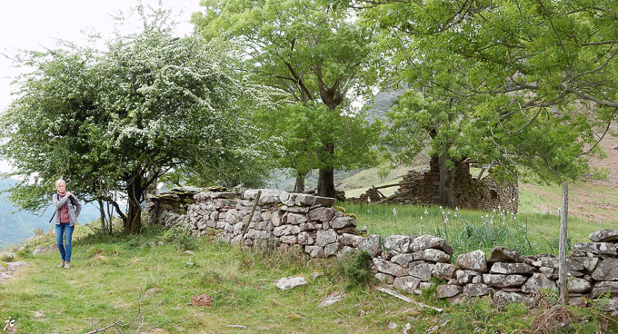 Simone et la ruine d'une bergerie envahie par les asphodèles