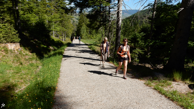Magali, Simone et la meute