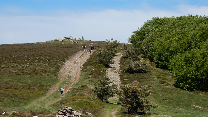 Simone dans la montée vers la crête, le signal du Bougès (1421m)
