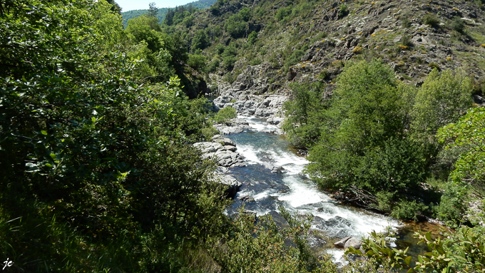 le Tarn près de Cocurès