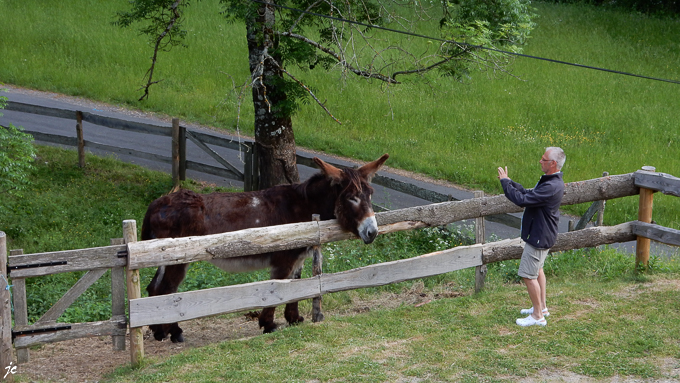 l'âne Vagabond à la gare de Cassagnas