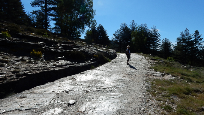 Simone sur le chemin de schiste