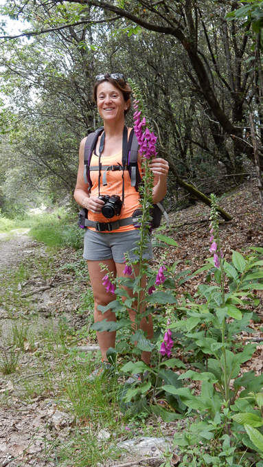 Magali et la digitale sur le chemin du col de St Pierre