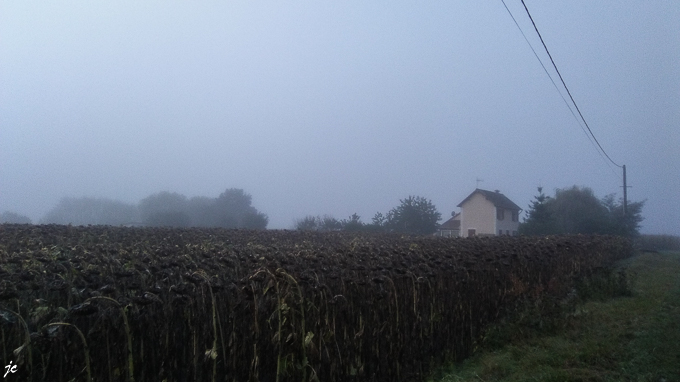 à la sortie de Blois dans le brouillard