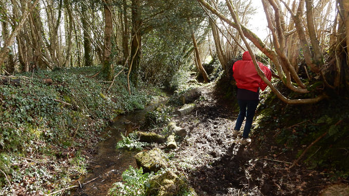 Simone à Plusquellec