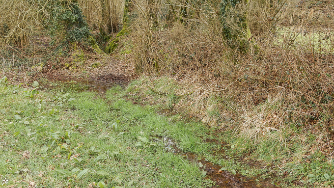 la fin de la rando à Plusquellec