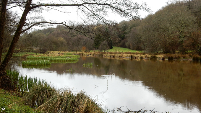 l'écosystème du Guervilly