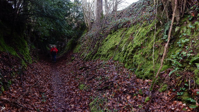 sur la rando "des 3 rivières"